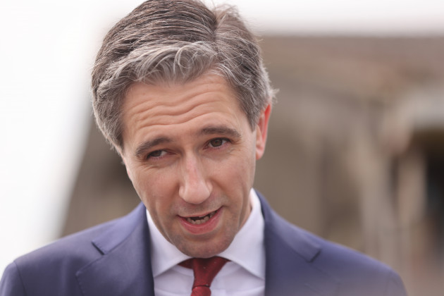 Simon Harris accused of 'pulling the rug' from under EV and heat pump sales