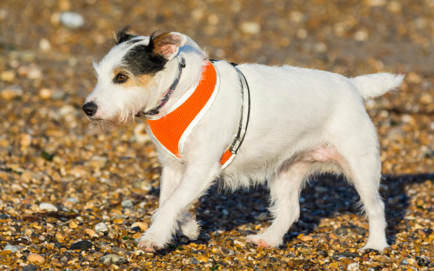 The money dial: How we manage our finances best to protect what we care about the most