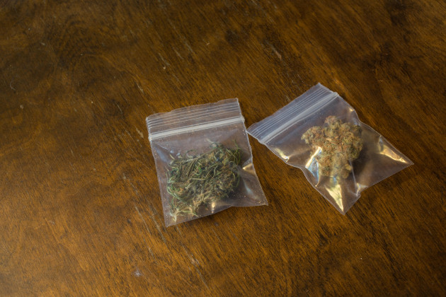 TDs to be told gardaí may claim to 'smell cannabis' as pretext for unlawful searches