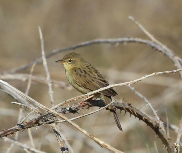 Minister for nature: We need to work together to protect against biodiversity loss