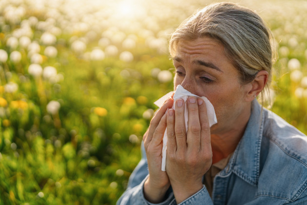 Hay fever season two weeks longer compared to the 90s, review claims