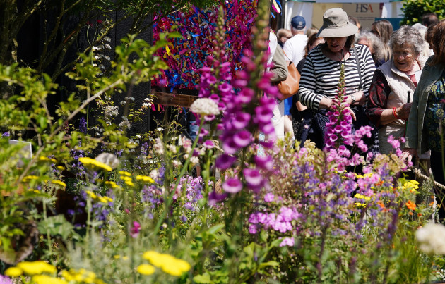 Would you pay €40 to visit Bloom?