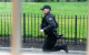 Shots fired near the White House, says FBI director