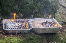 Tesco pulls disposable barbecues from all Irish stores after government raised wildfire concerns