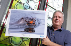Here's What Happened Today: Thursday