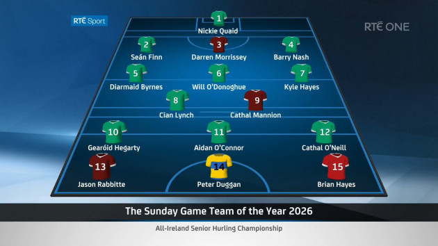 Here's the Sunday Game hurling Team of the Year – and the experts' Hurler of the Year