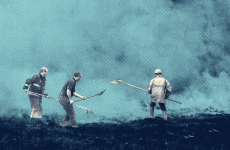 Ireland has one of Europe’s highest rates of wildfire overlap with protected nature sites