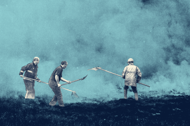Ireland has one of Europe’s highest rates of wildfire overlap with protected nature sites