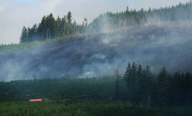 Wildfires at home and abroad: The climate crisis is here, and Ireland is far from prepared