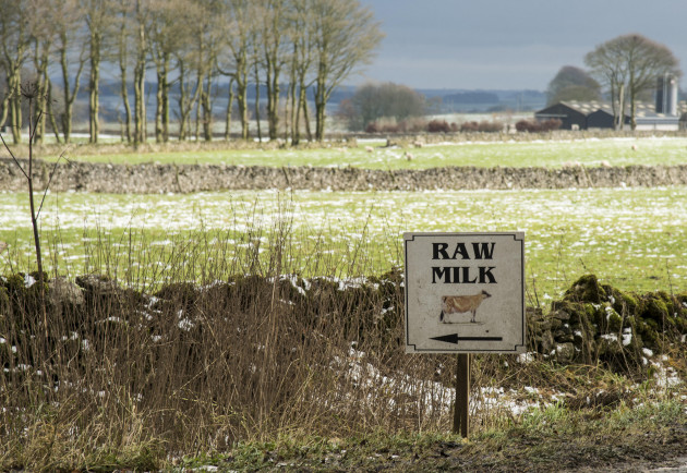 Kelly Earley: There are dog whistles behind conversations about ‘raw’ milk