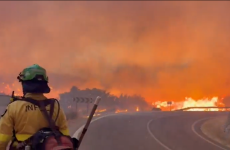 At least 12 killed in wildfire in southern Spain amid heatwave