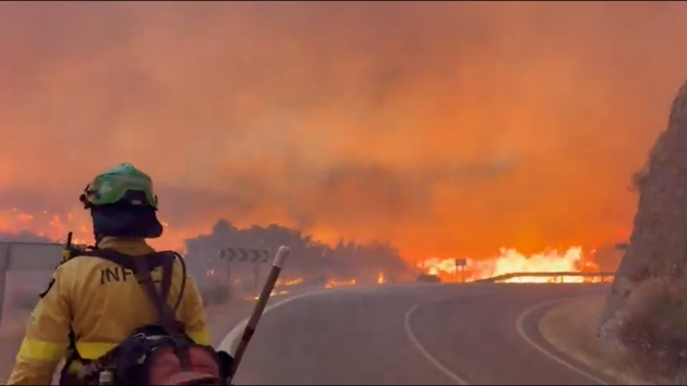 At least 12 killed in wildfire in southern Spain as heatwave continues