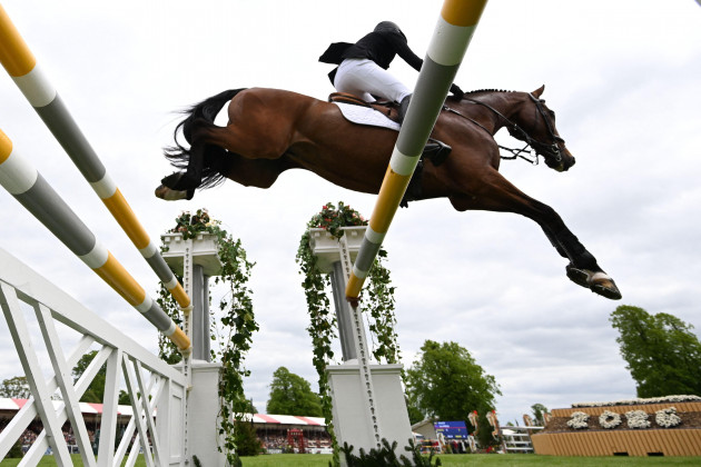 Interim examiner appointed in bid to save Horse Sport Ireland