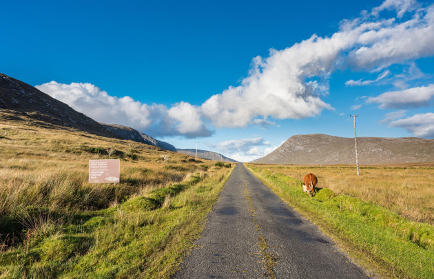 Government rejected plan to migrate Gaeltacht population to better land in 1926