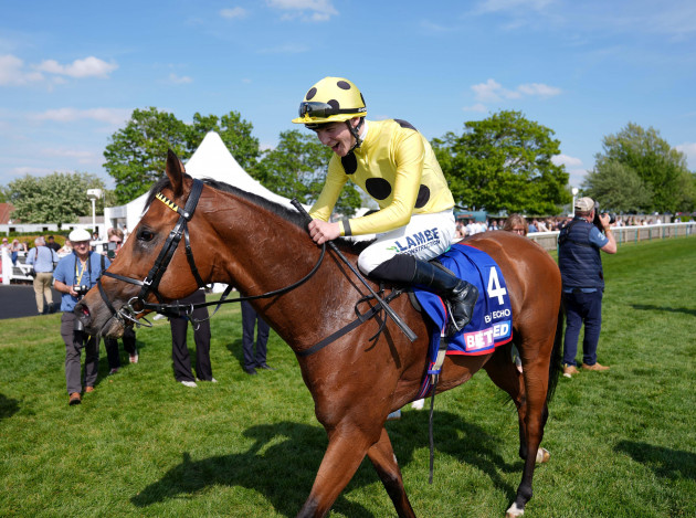 'The most unbelievable racehorse': Shock retirement for superstar colt Bow Echo